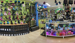 Galería de imágenes