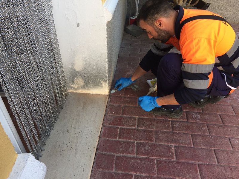 Campos Serrano Bi&oacute;logos 5