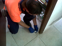 Galería de imágenes