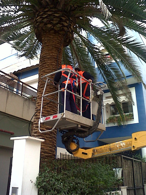 Campos Serrano Bi&oacute;logos 7