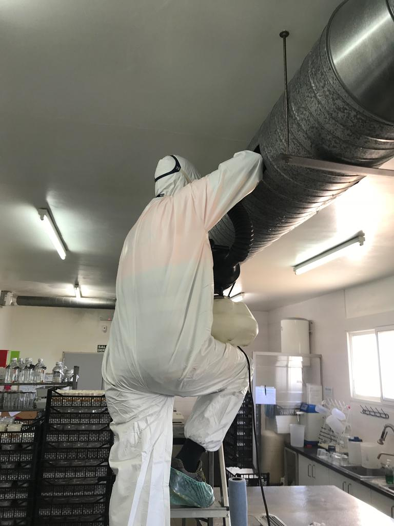 Campos Serrano Bi&oacute;logos 18