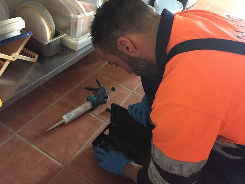 Campos Serrano Bi&oacute;logos 2