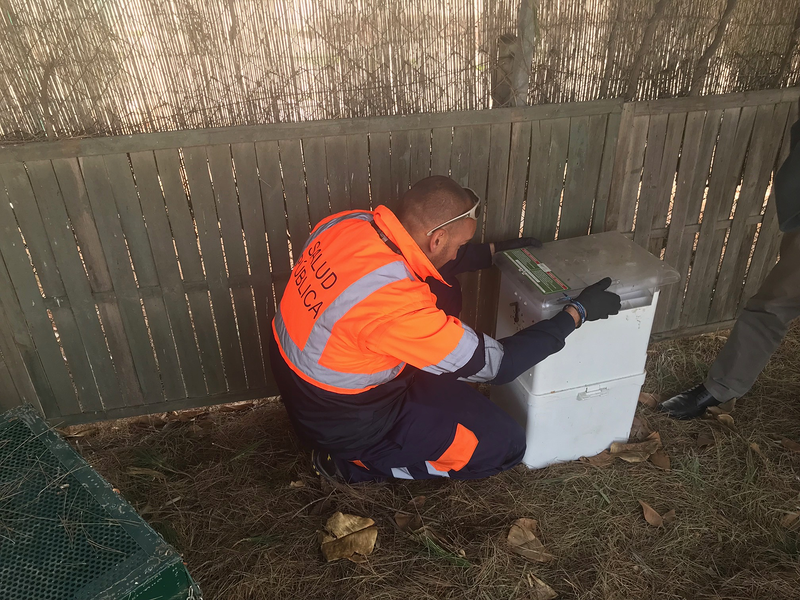 Campos Serrano Bi&oacute;logos 4