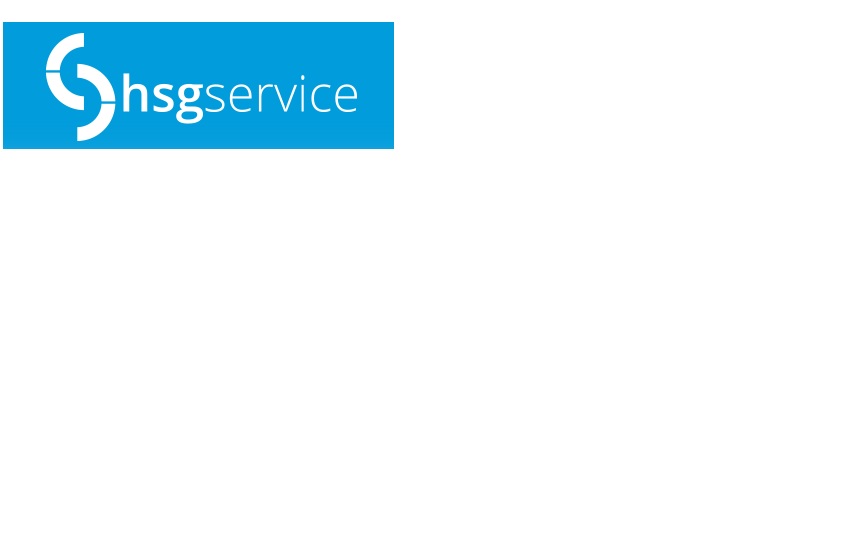 Hsg Service Grup