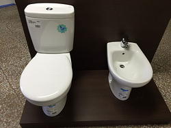 Galería de imágenes