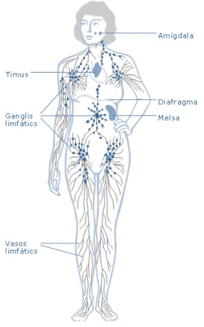 Centre De Fisioterapia Carla Güibas 5