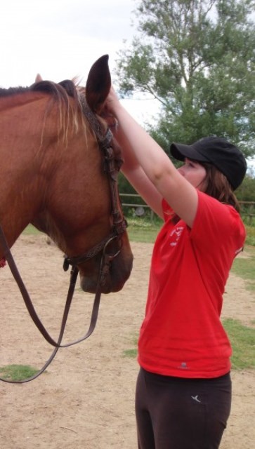 Centre De Fisioterapia Carla Güibas 8