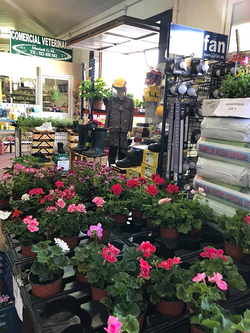 Galería de imágenes