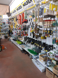 Galería de imágenes