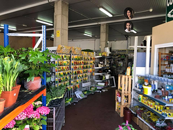 Galería de imágenes