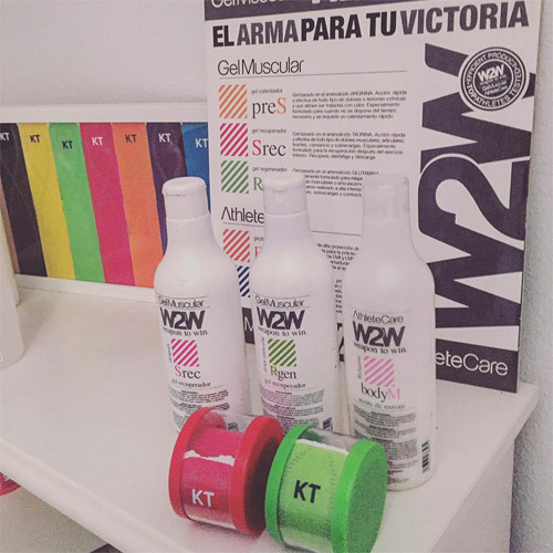 Centro Healthyback 3