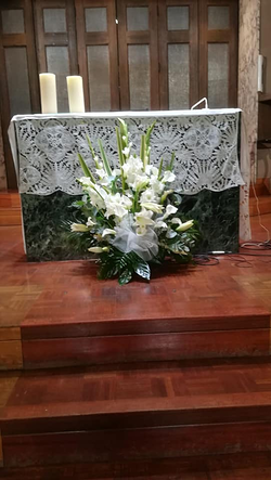 Galería de imágenes