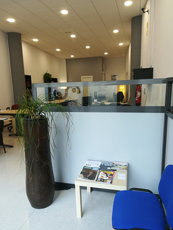 Galería de imágenes