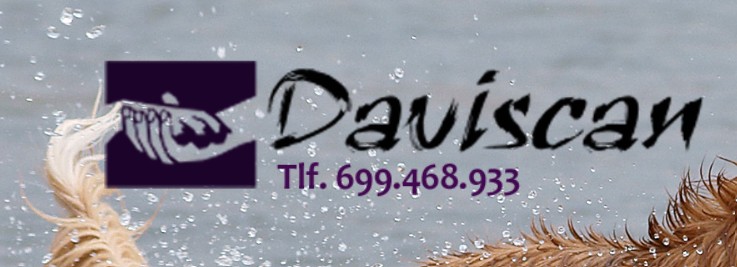 Daviscan Guarderia Canina