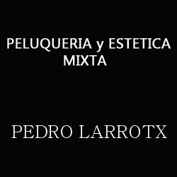 Pedro Larrotx Peluquería Mixta y Estética