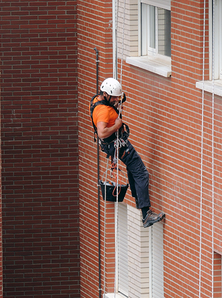 Galería de imágenes