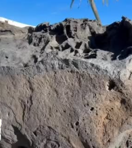 Lanzarote Experience Tours EXCURSIONES