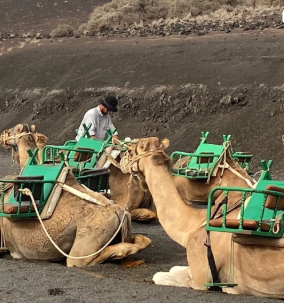 Lanzarote Experience Tours San Bartolomé