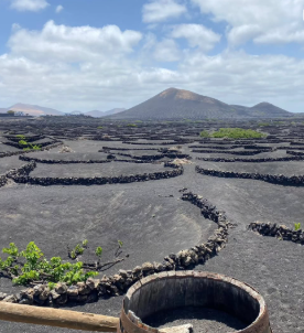 Lanzarote Experience Tours 2