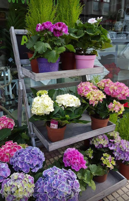 Florister&iacute;a Alhoja 15