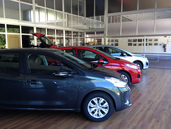 Galería de imágenes