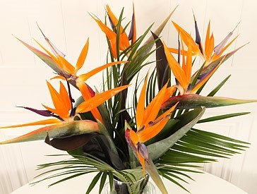 Florister&iacute;a Canela en Ramo 12