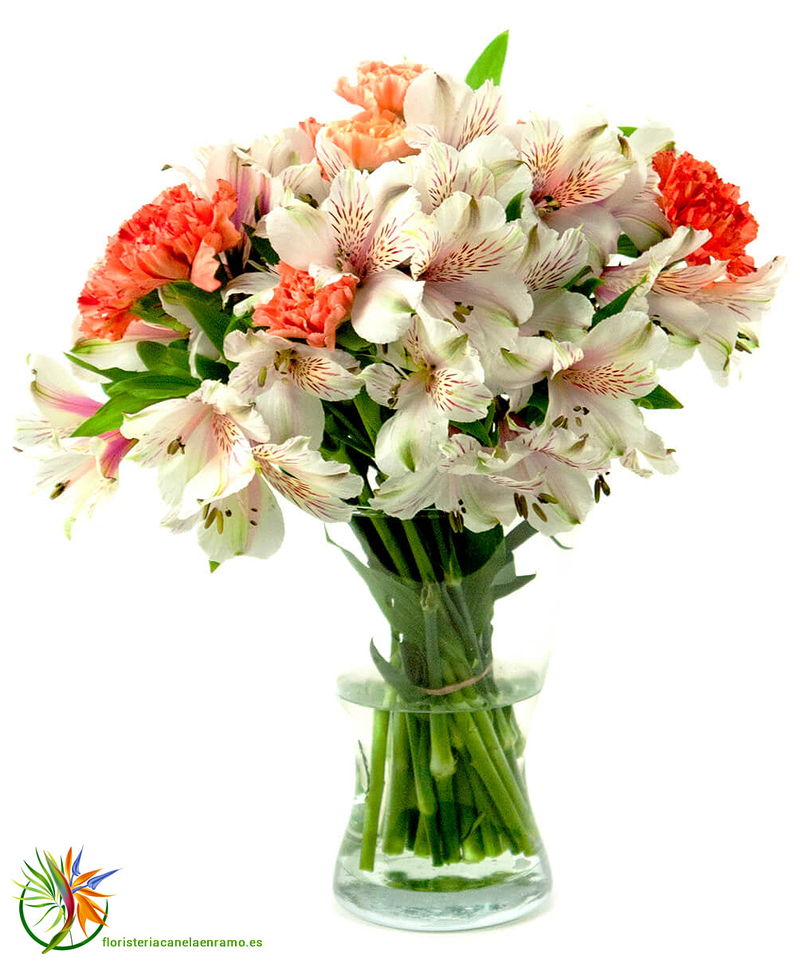 Florister&iacute;a Canela en Ramo 15