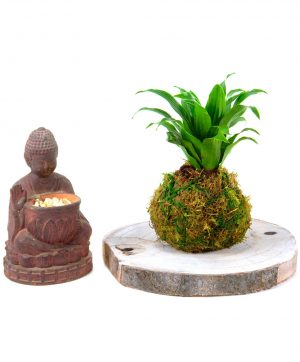 Florister&iacute;a Canela en Ramo 6