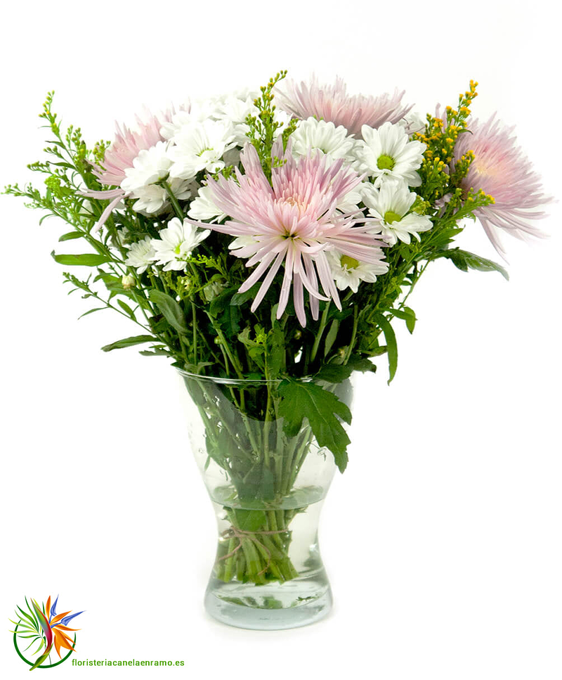 Florister&iacute;a Canela en Ramo 26