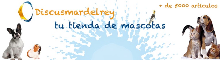 Discusmardelrey 6