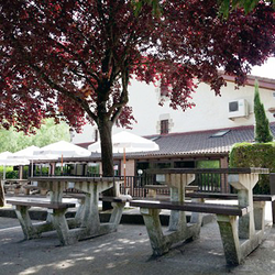 Galería de imágenes