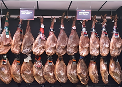 Galería de imágenes