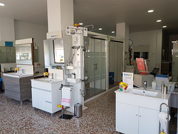 Galería de imágenes