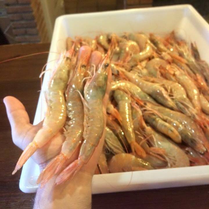 Pescados-Mariscos Peskafish 4