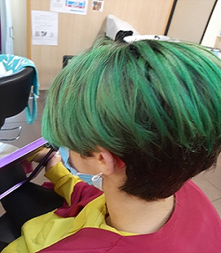 Galería de imágenes