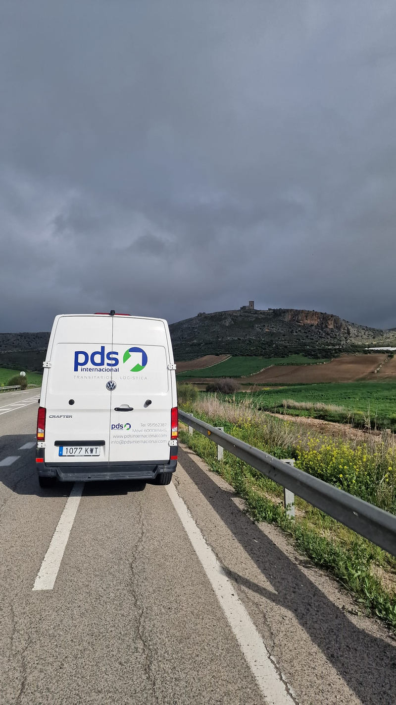 PDS Internacional 10