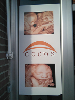Eccos 2 Eccos 2
