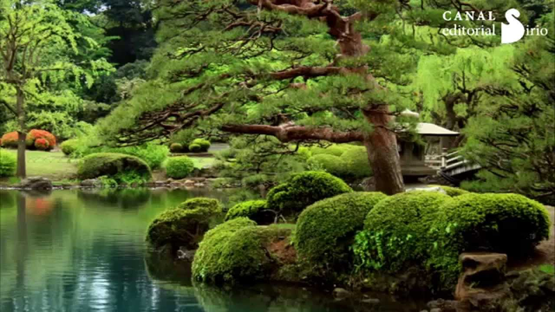 Centro de Masajes y Terapias 11