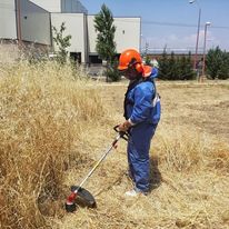 Galería de imágenes