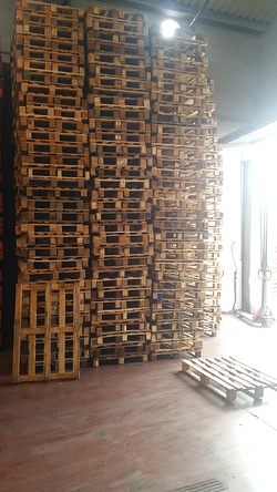 Galería de imágenes