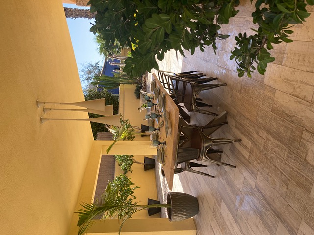 Teresa Angela Bo Bo 18