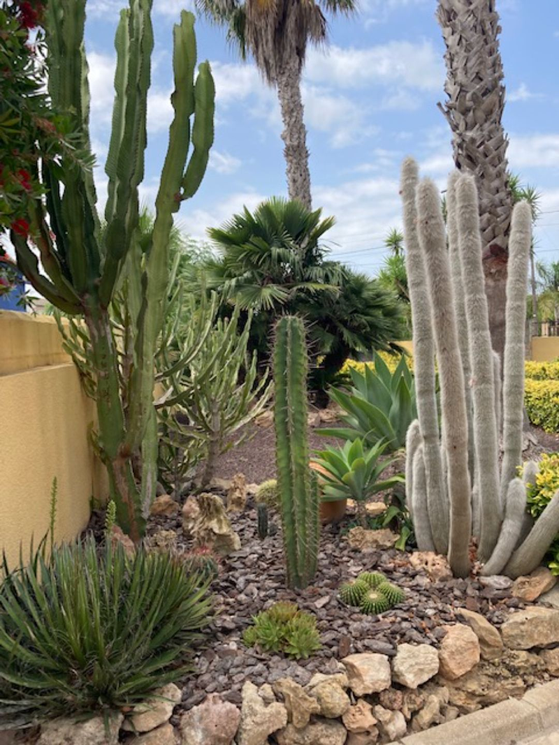 Teresa Angela Bo Bo 16