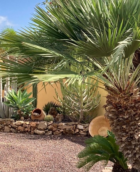 Teresa Angela Bo Bo 19