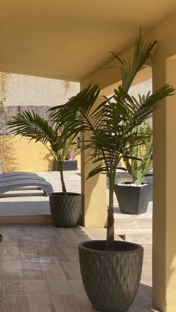 Teresa Angela Bo Bo 25