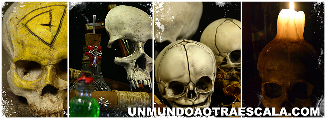 Galería de imágenes