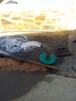 Galería de imágenes