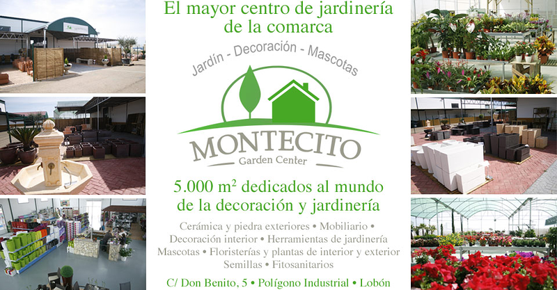 El Montecito 4