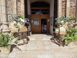 Galería de imágenes