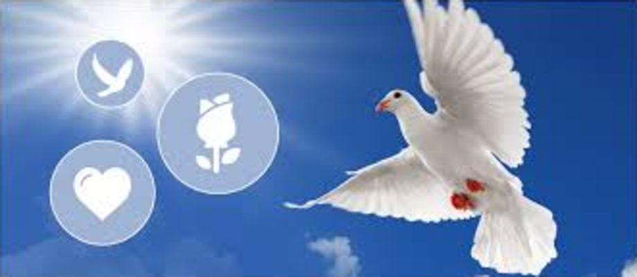 Funeraria -Tanatorio Moixent 4