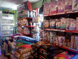 Galería de imágenes